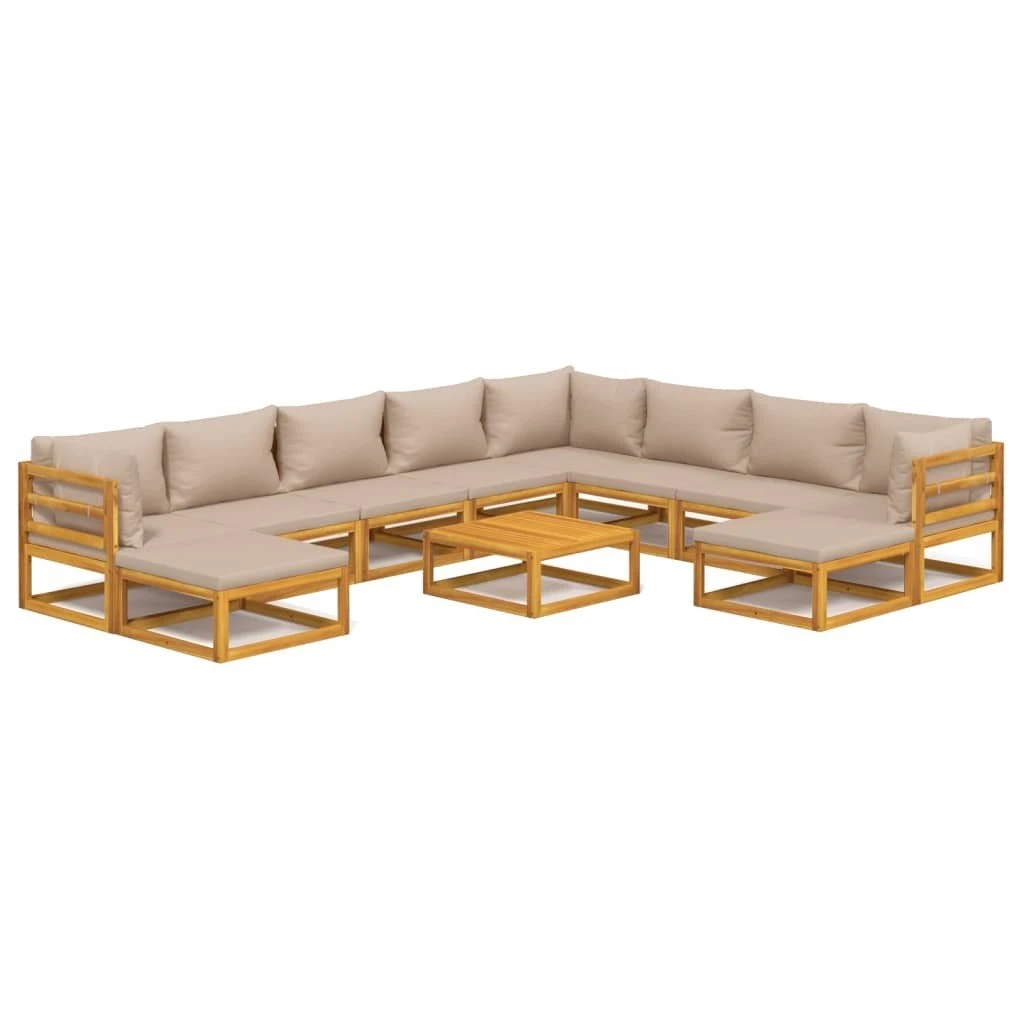 Set Muebles Jardín 11 Pzasy Cojines VidaXL